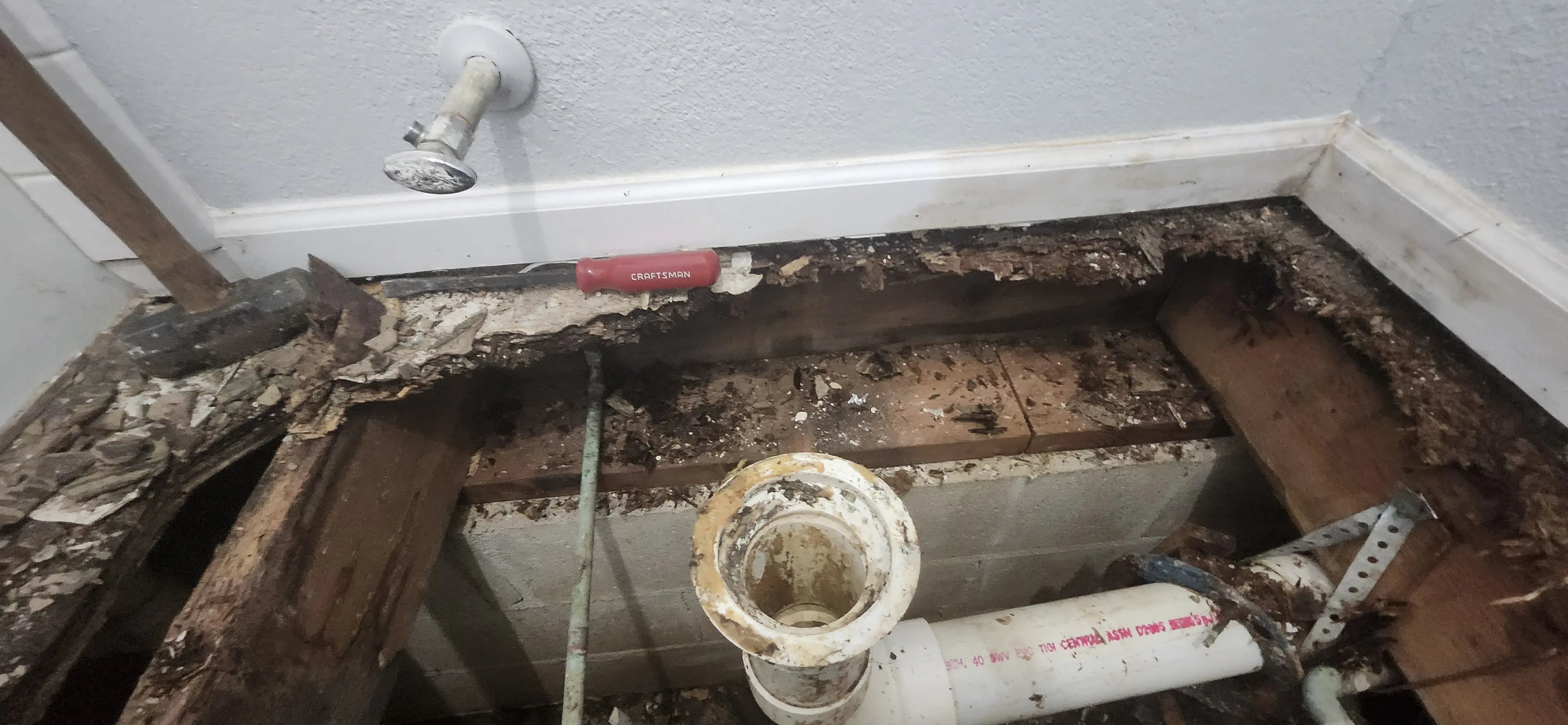 Picture showing rotten wood on the back/exterior wall
