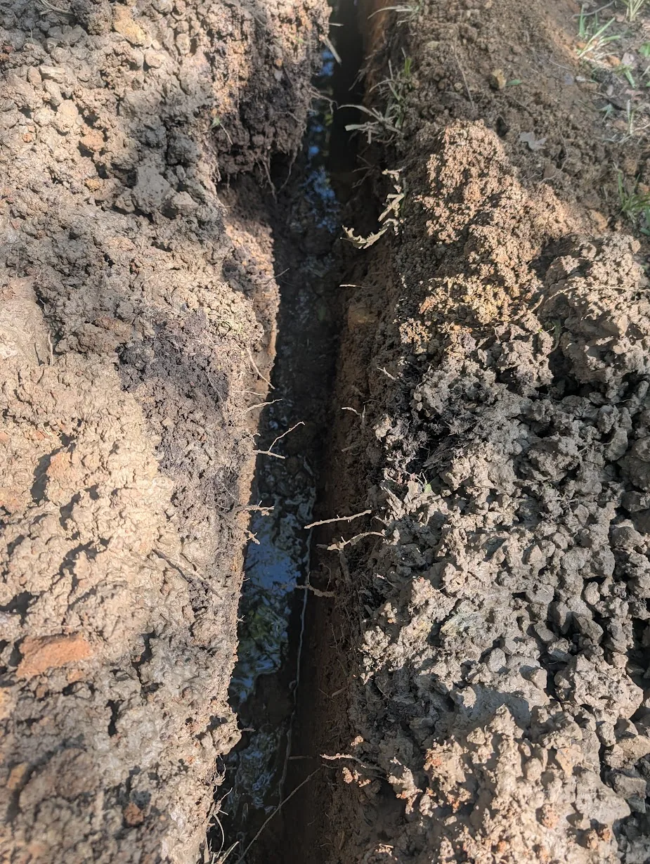 Trench fouled after skimming a septic lateral line